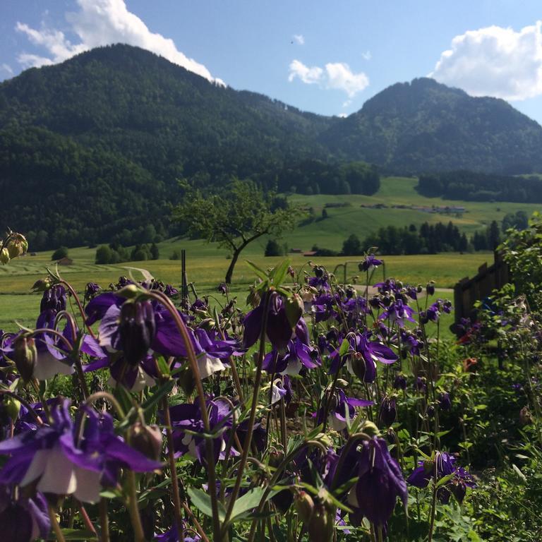 Schifterhof Ruhpolding Villa Eksteriør bilde
